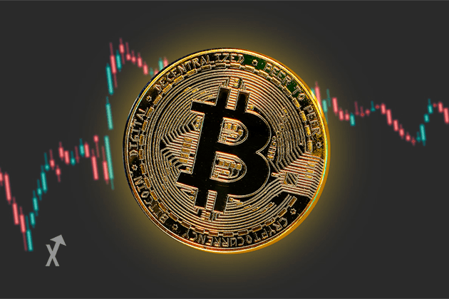 bitcoin hodl