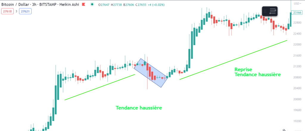 figure chartiste drapeau 