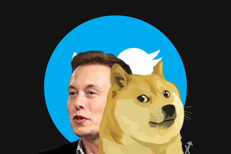 dogecoin avis