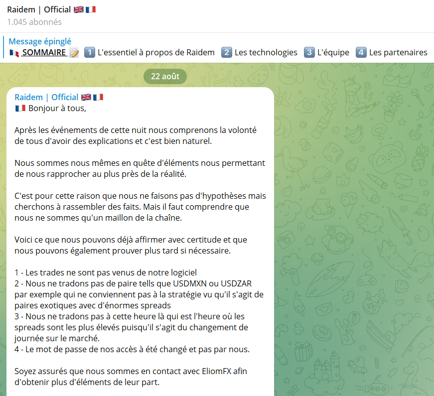 communication raidem bot arnaque