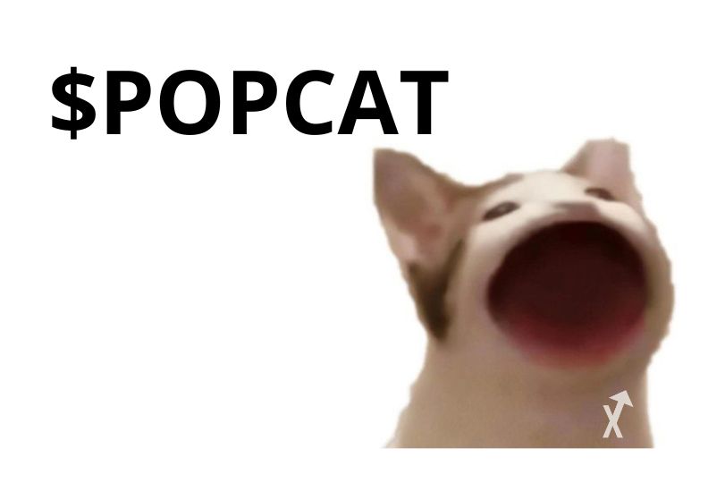popcat
