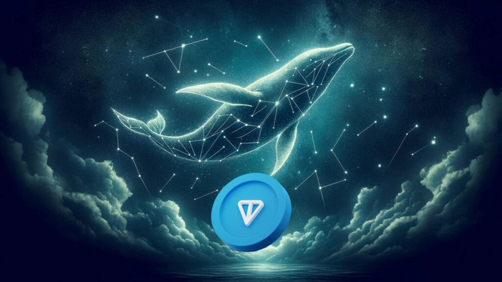 TONCOIN whales 