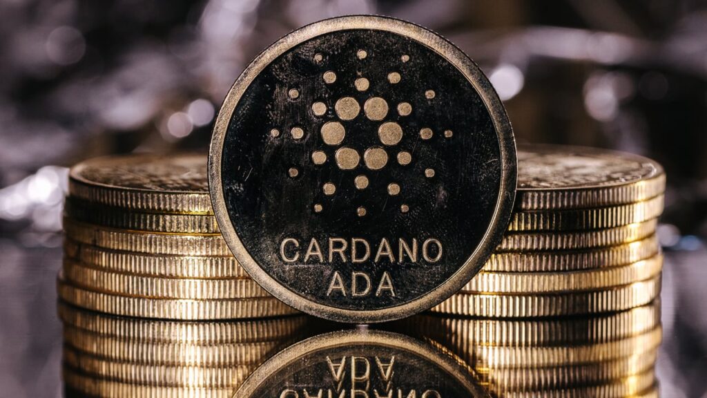 Cardano utilité