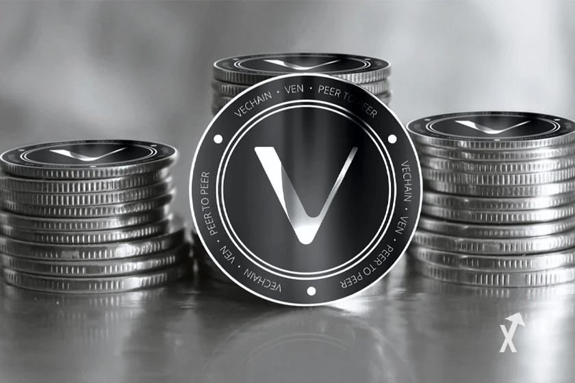 vechain vet