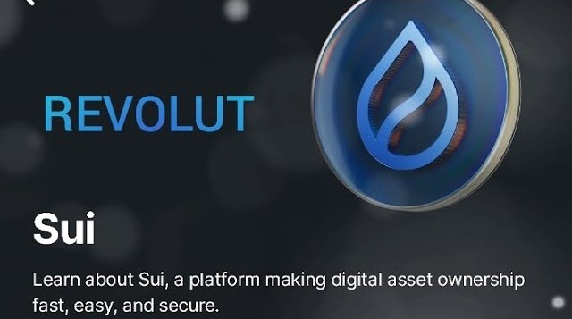 Revolut crypto SUI questionnaire