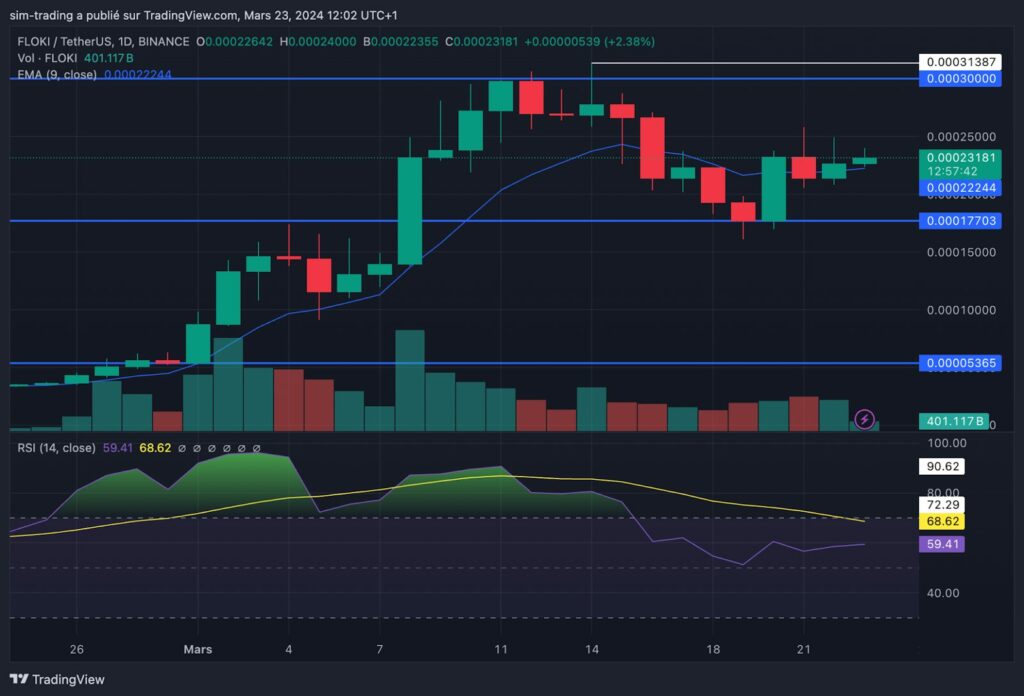 Graphique TradingView crypto FLOKI