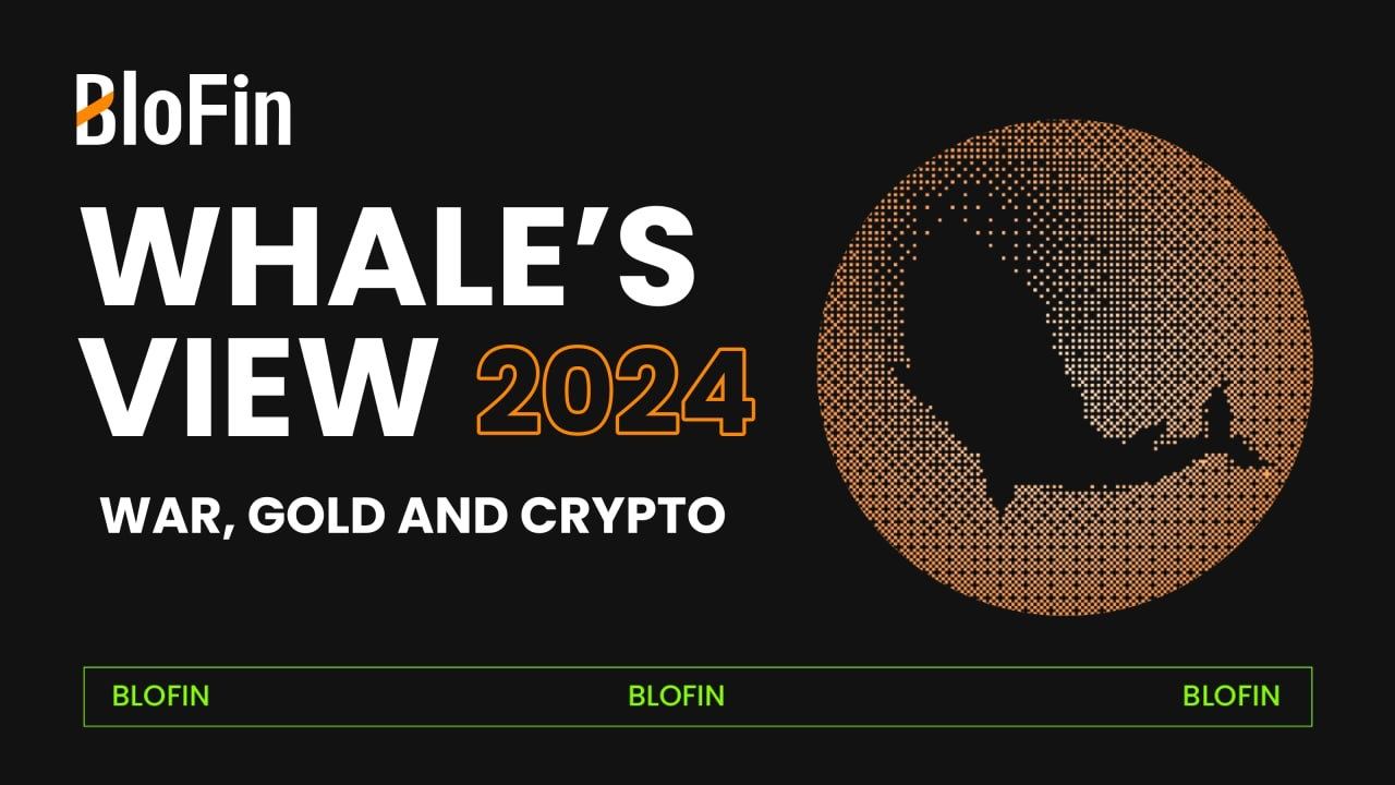 BloFin Academy war, gold and crypto