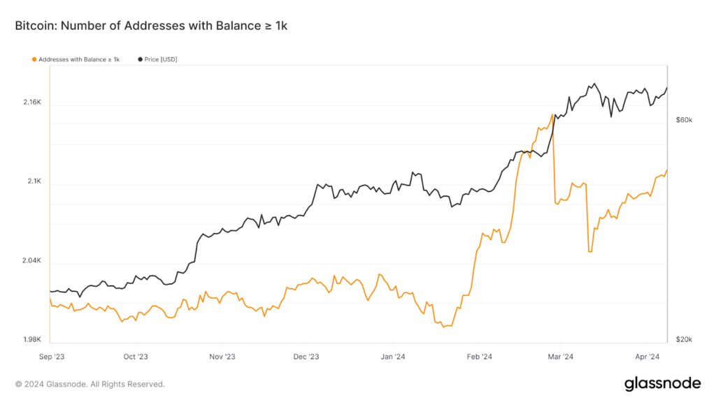 baleine detenant plus de 1000 BTC