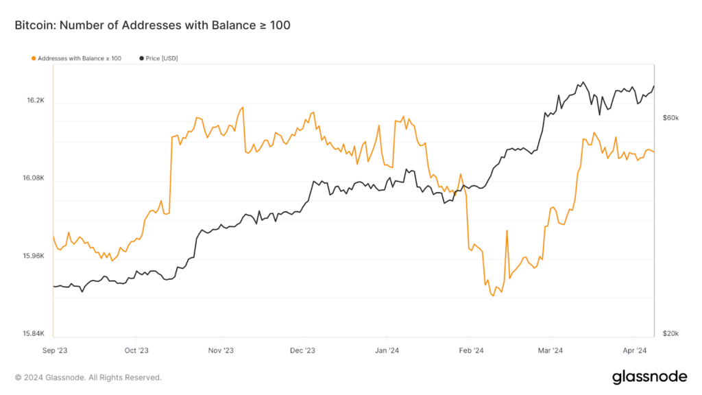 baleine detenant plus de 100 BTC