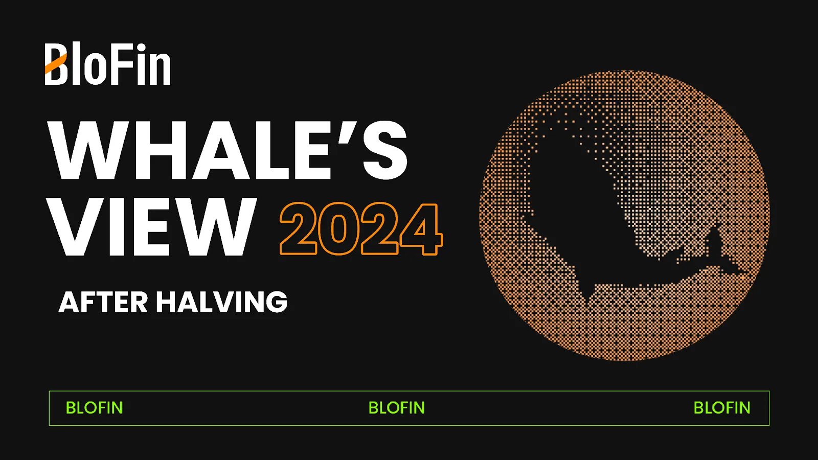 blofin academy baleine crypto