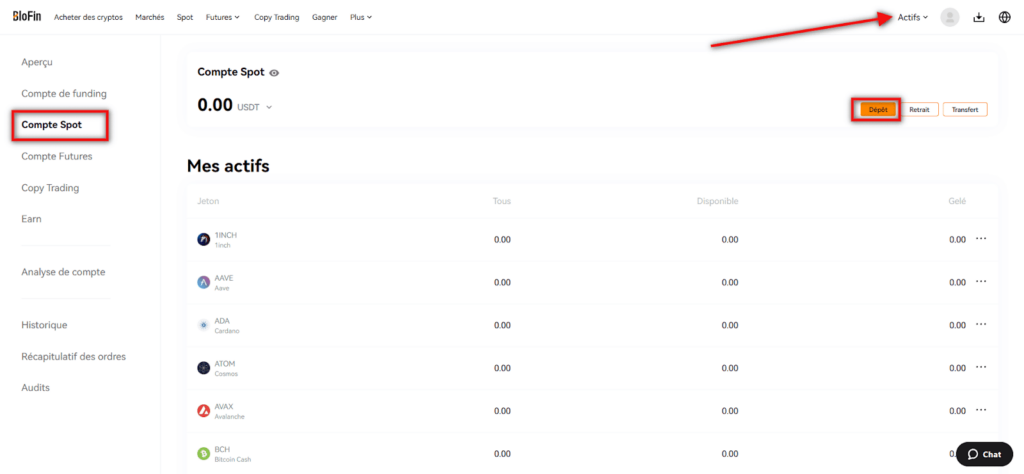 Comment faire un dépot sur BloFin ?