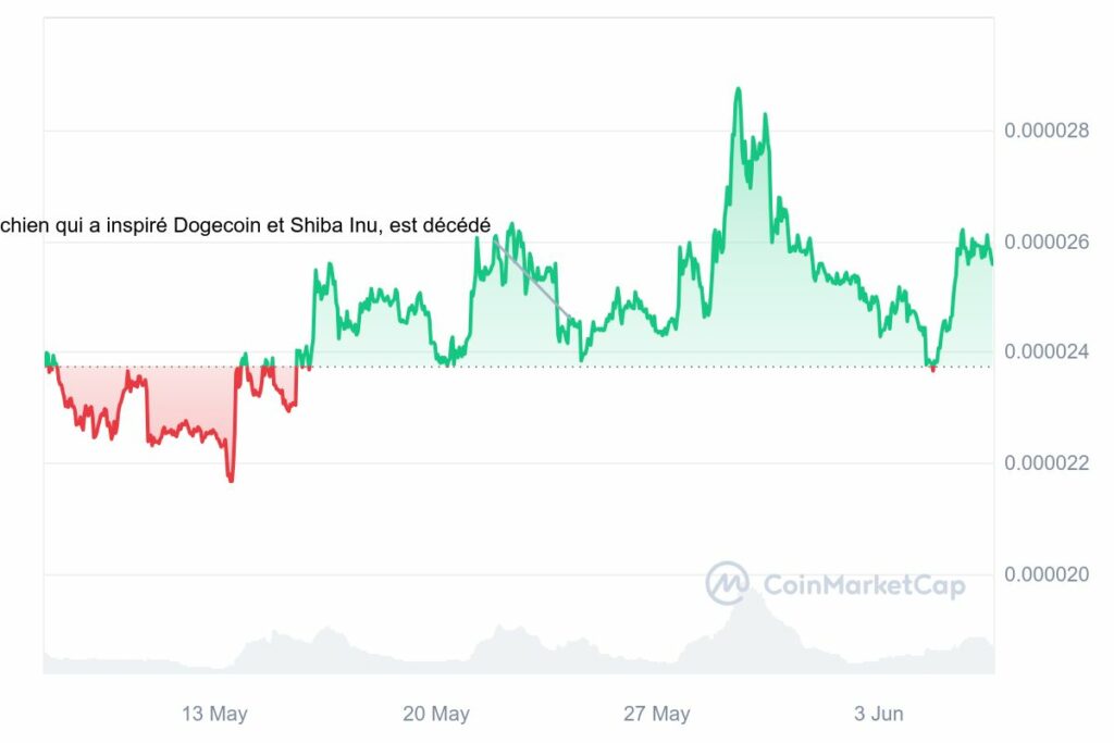 Analyse Crypto Shiba Inu (SHIB) après brulage token