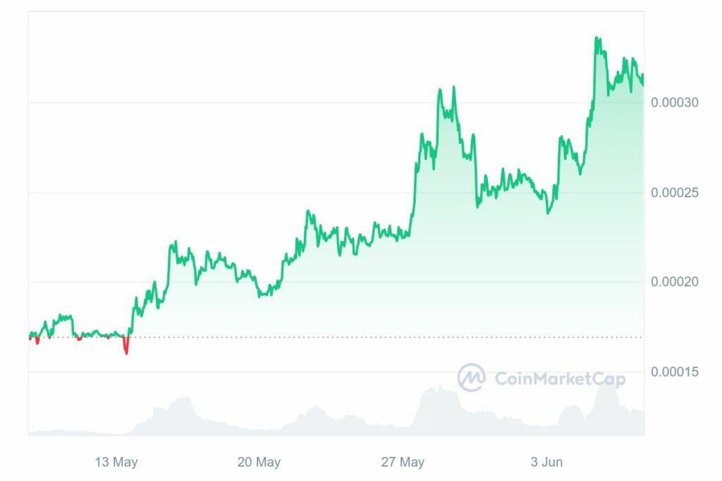 Analyse cours FLOKI Inu Juin 2024