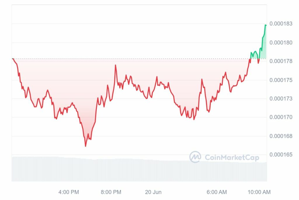 Graphique analyse du cours memecoin FLOKI