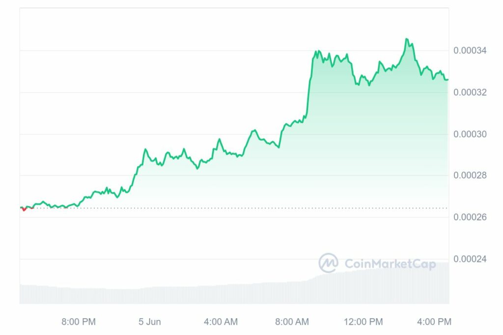 Graphique FLOKI hausse Juin