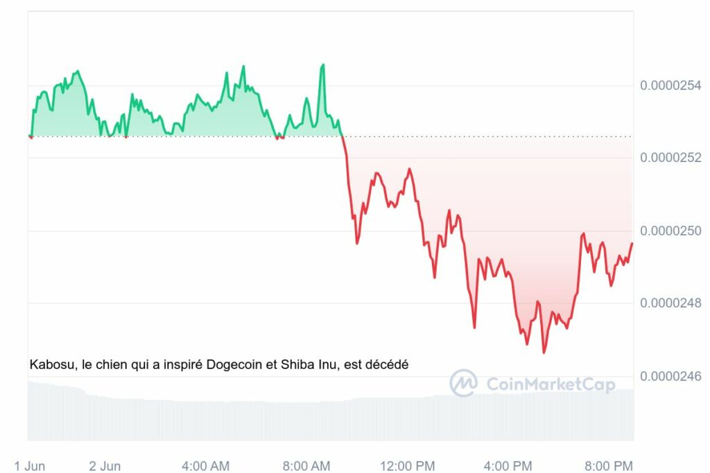 analyse prix Shiba Inu juin 2024