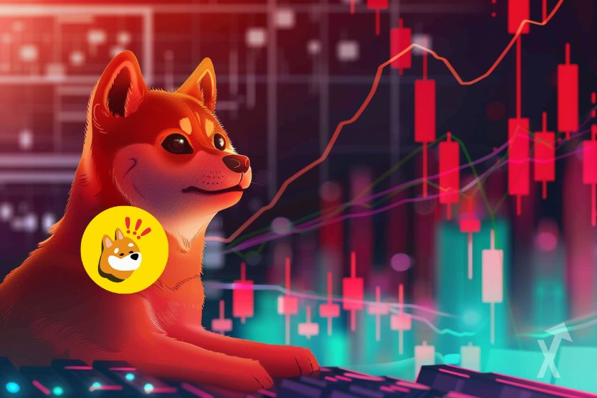 prix de BONK en hausse de 25% brulage token