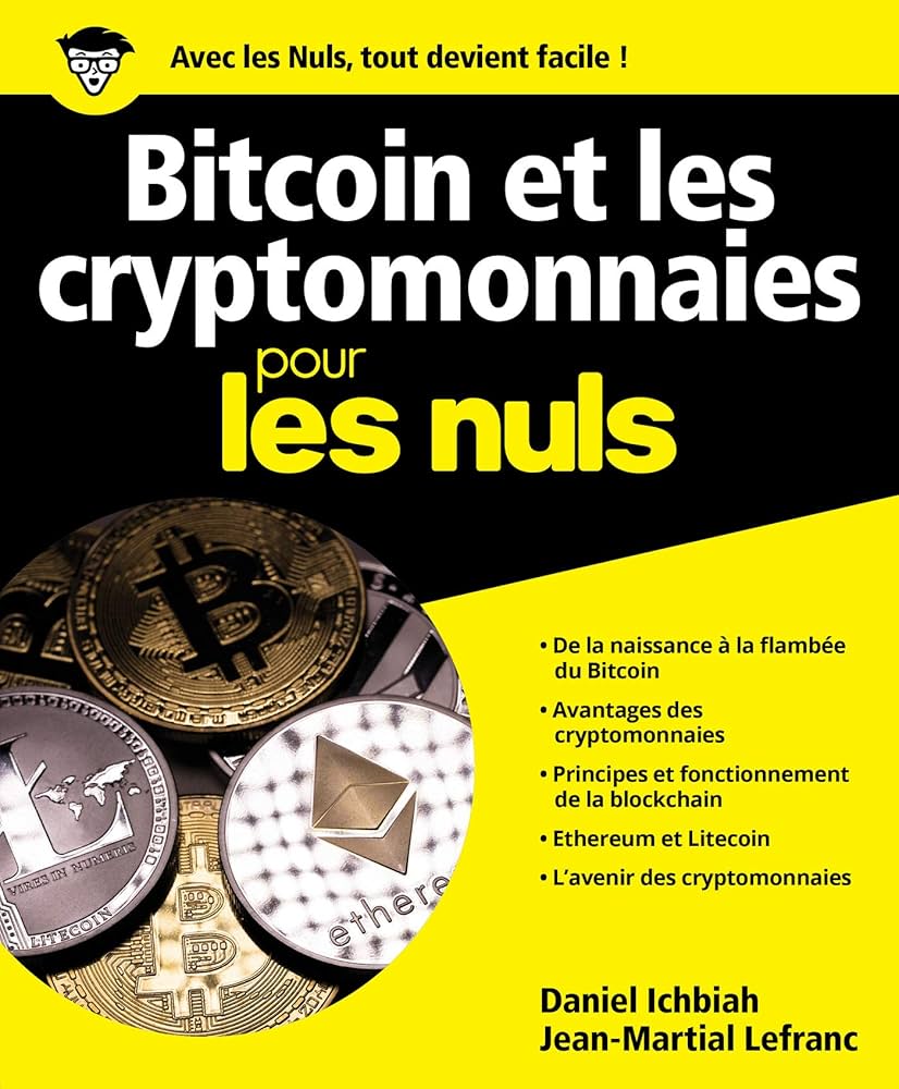 Exemple de cadeau crypto noël 2024 livre Bitcoin et les cryptomonnaies pour les nuls