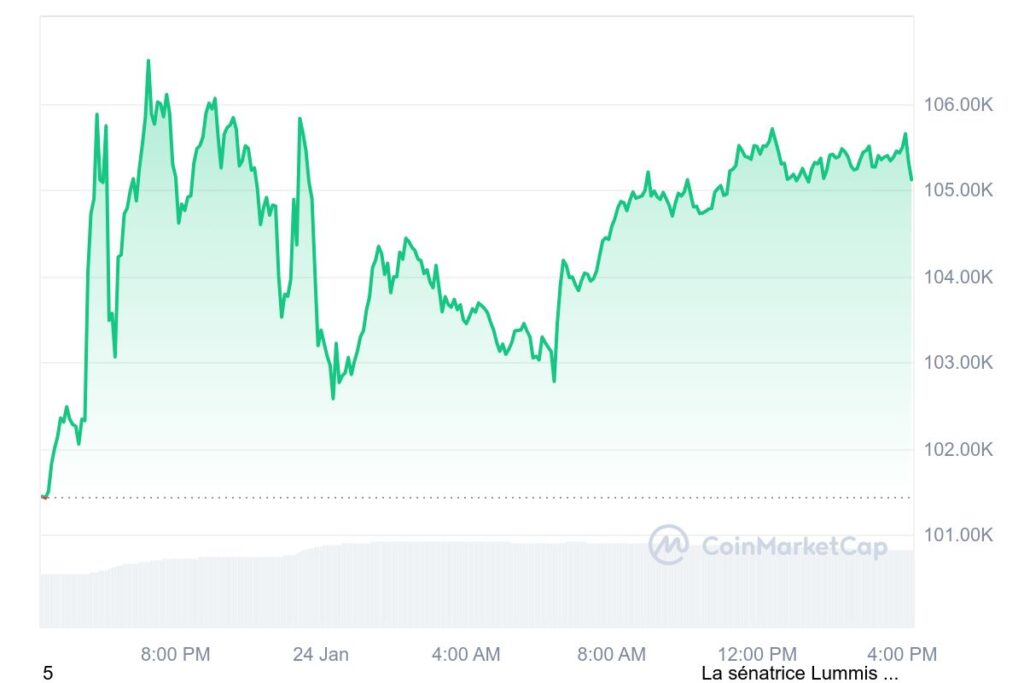 Graphique de prix journalier de la crypto Bitcoin