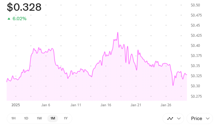 Graphique Dogecoin janvier 2025