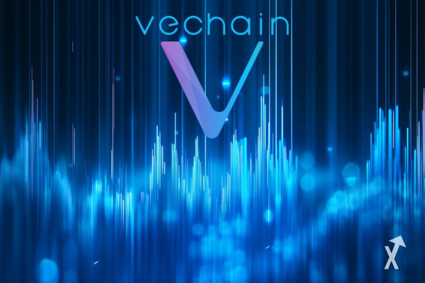vechain vet
