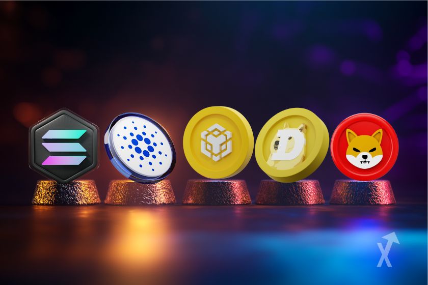 Top 5 altcoins tendances fevrier