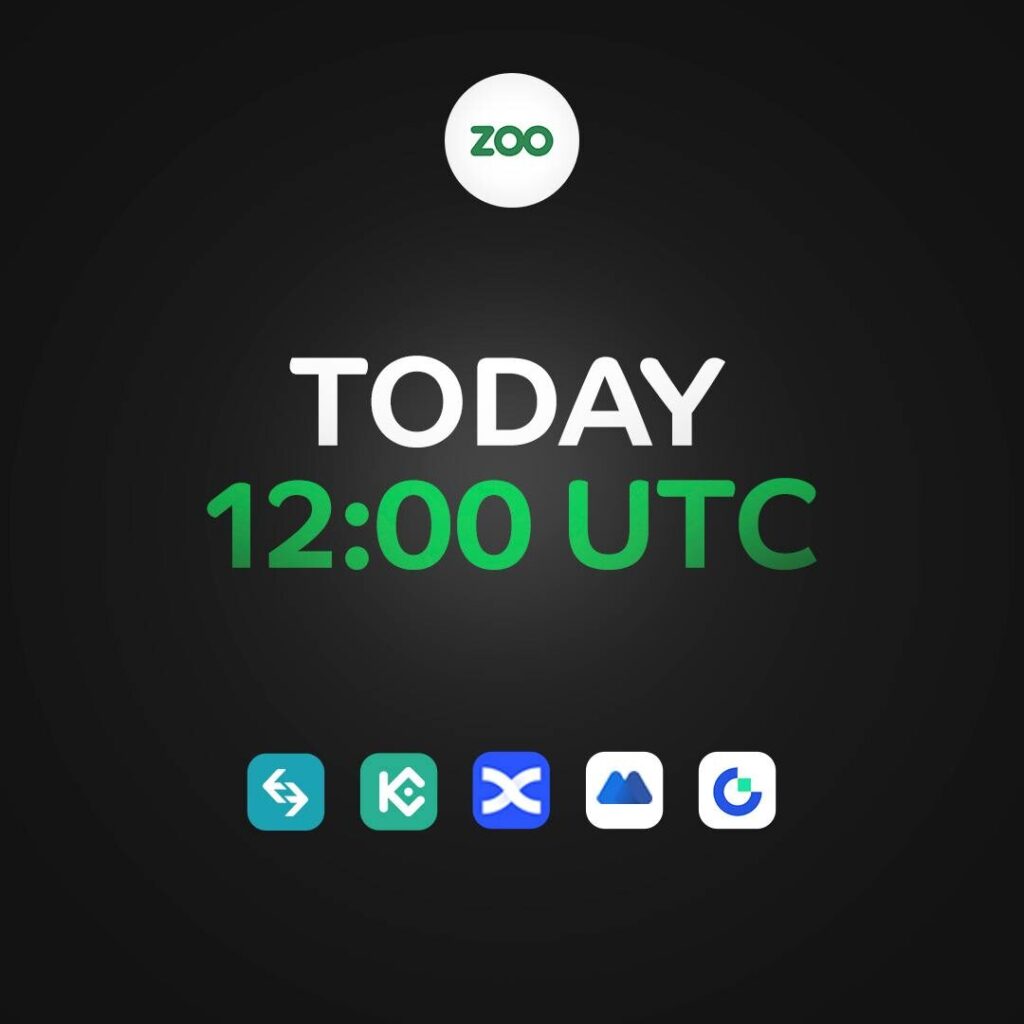 image du lancement du jeotn ZOO sur les exchanges