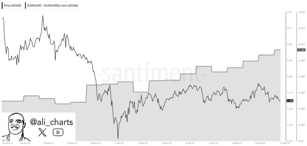 whale dogecoin inflows