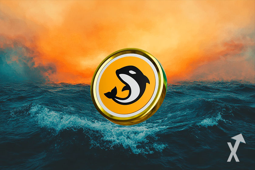 ORCA