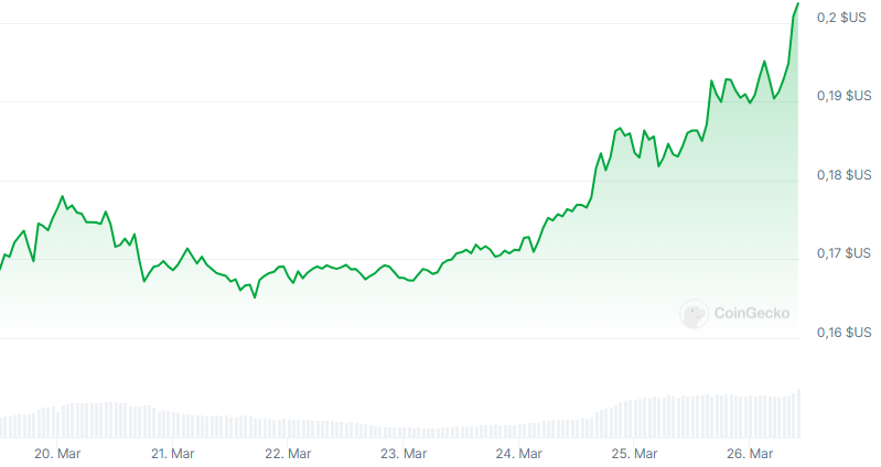 rebond prix du doge reserve