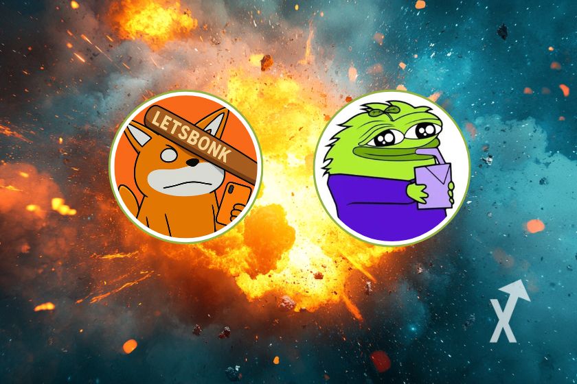 cover bonkfun grassito