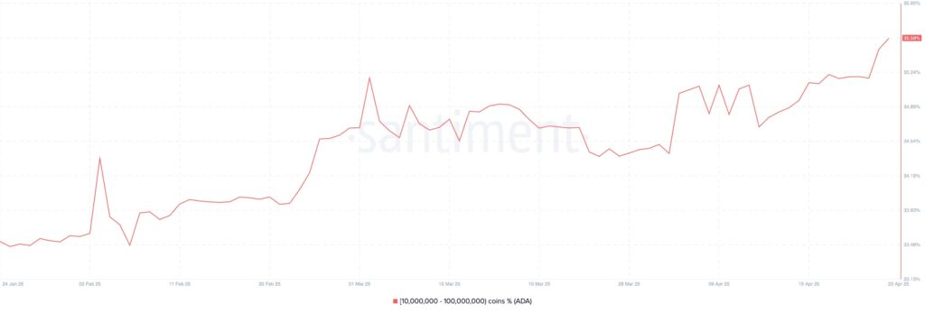 graphique des whales ADA