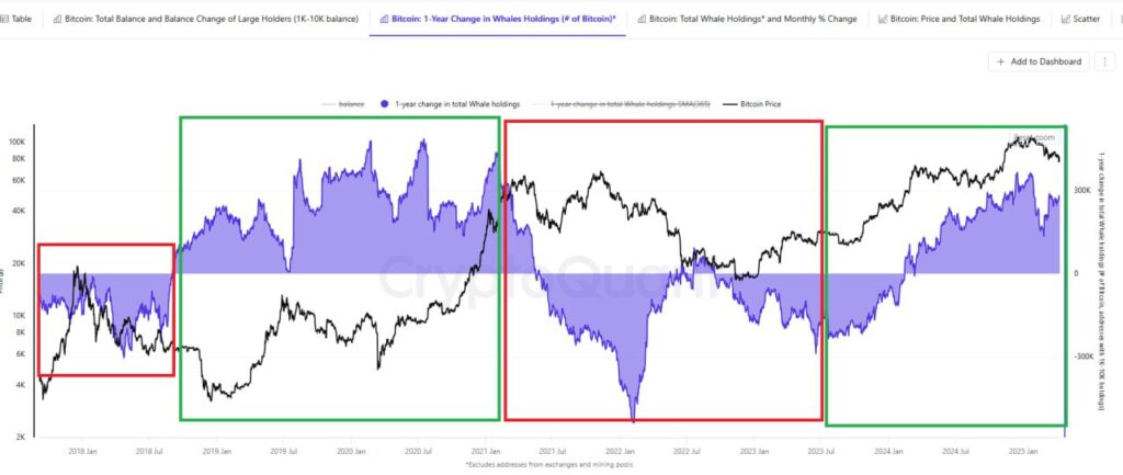 whale Bitcoin holding 