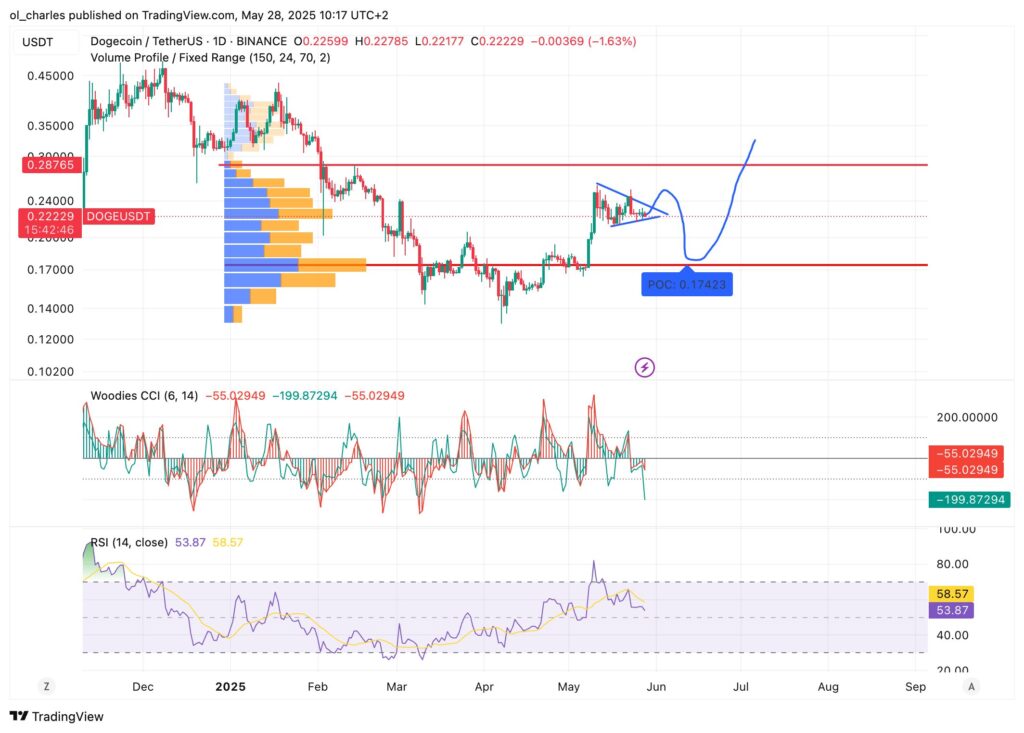 cours du DOGE dogecoin en 1D