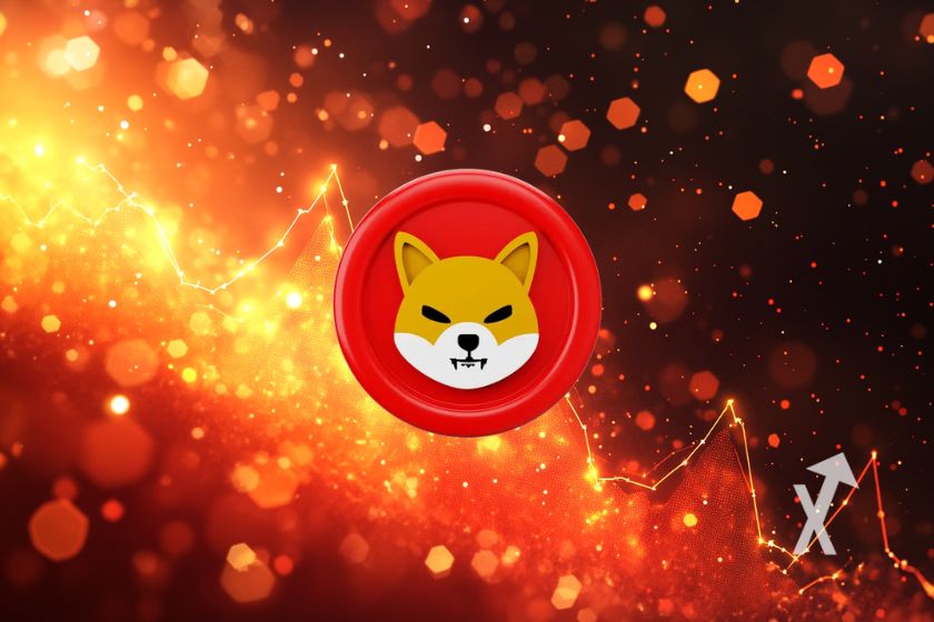 cover shiba inu shib