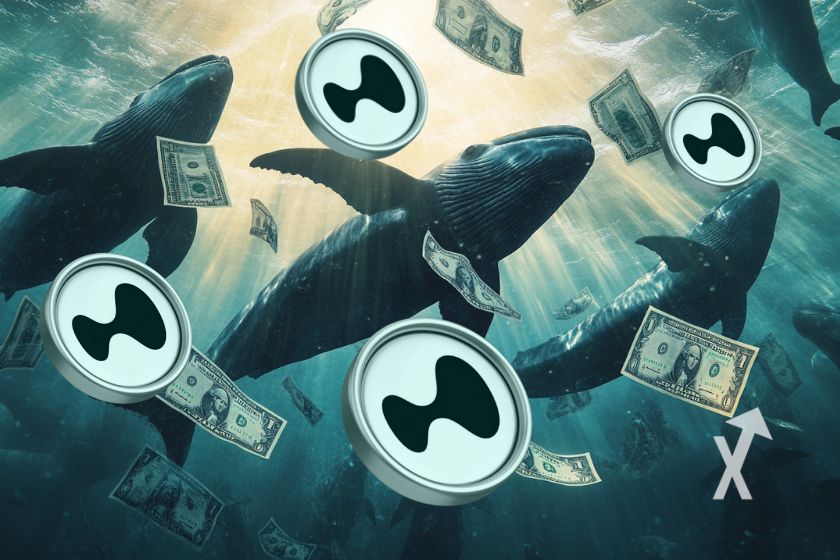 cover hyperliquid trader balaine