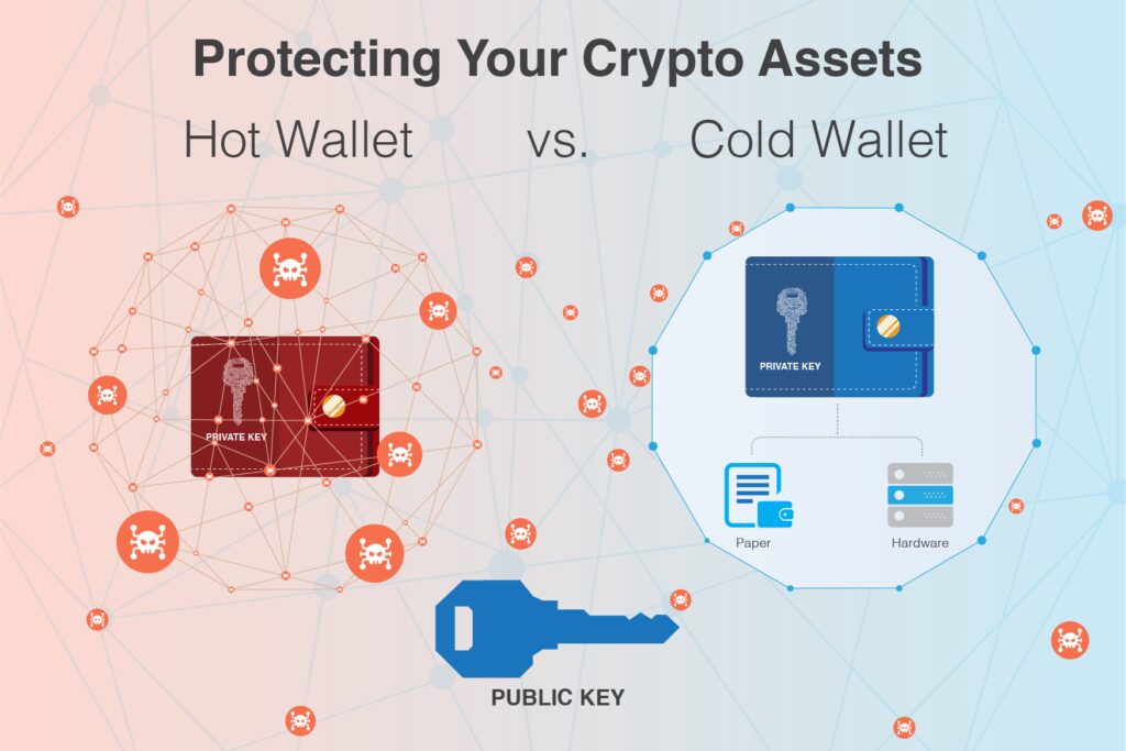 cold wallet hot wallet