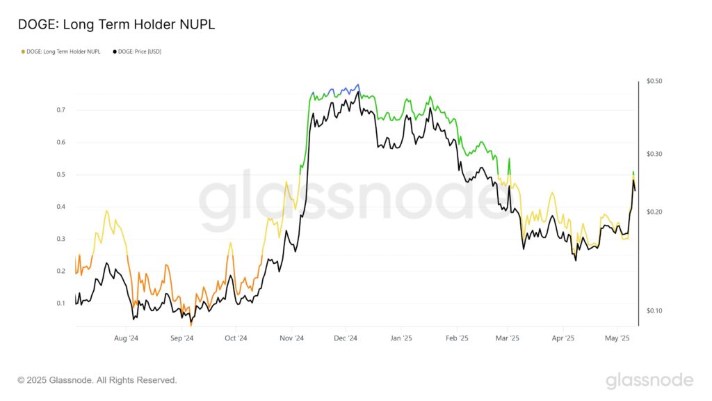 détenteur à long terme de DOGE