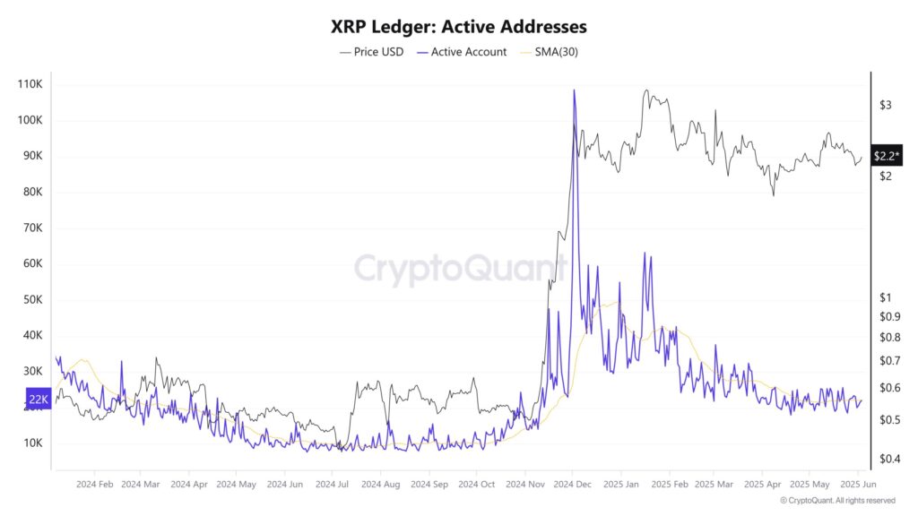 adresses actives du Ledger Ripple