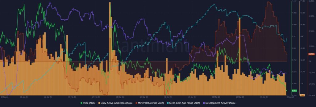 graphique activité / MVRV du ADA Cardano