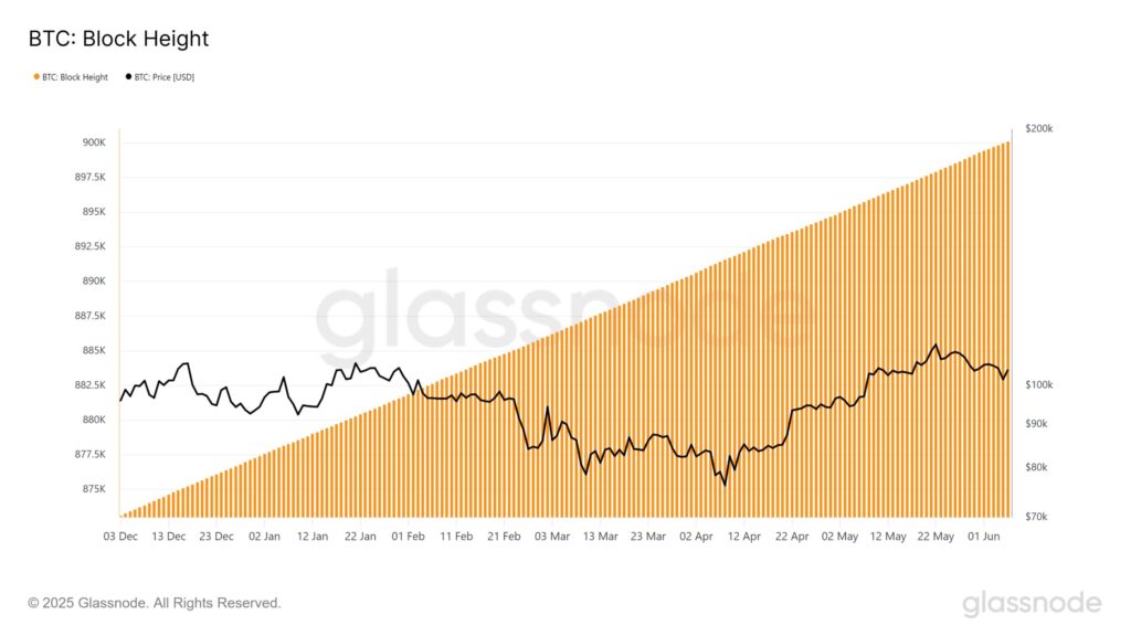 graphique taille des blocs Bitcoin
