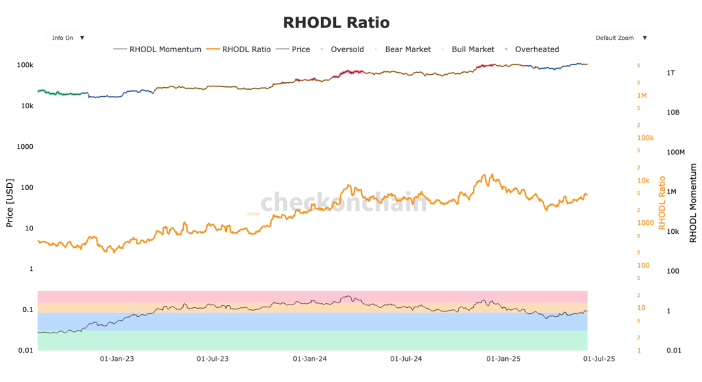 graphique du RHODL Bitcoin