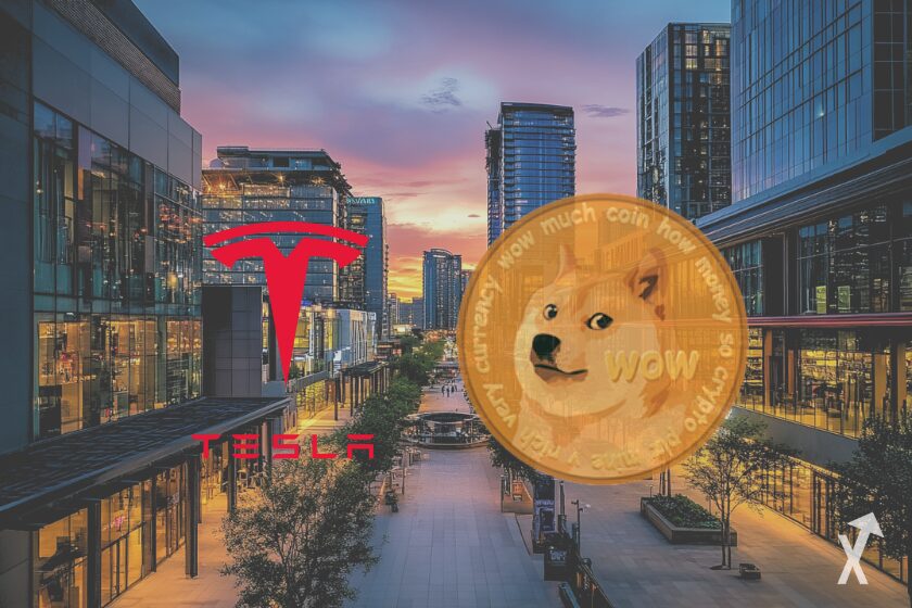 tesla doge