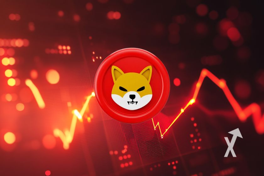 cover shib shiba inu