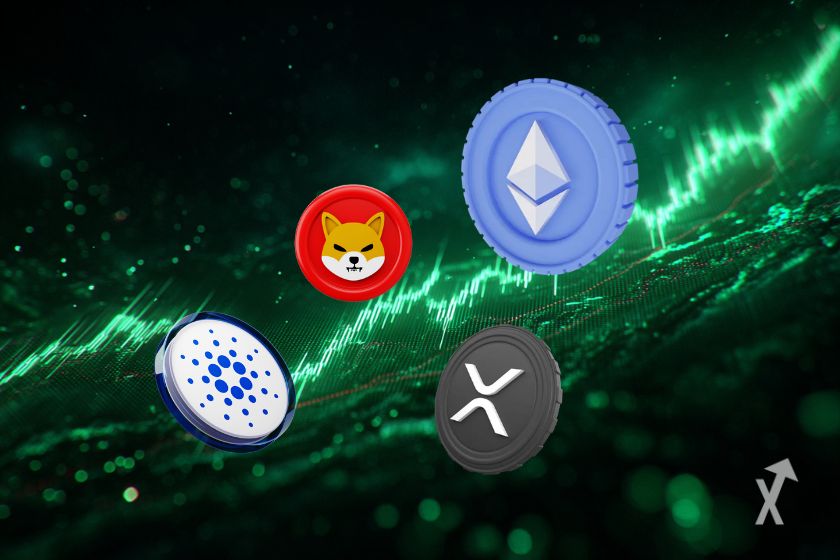 Les altcoins en hausse