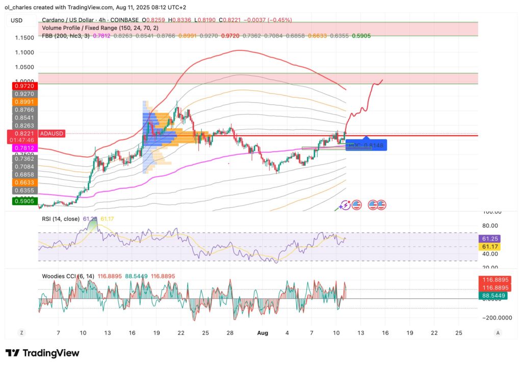 cours du ada en 4 heures