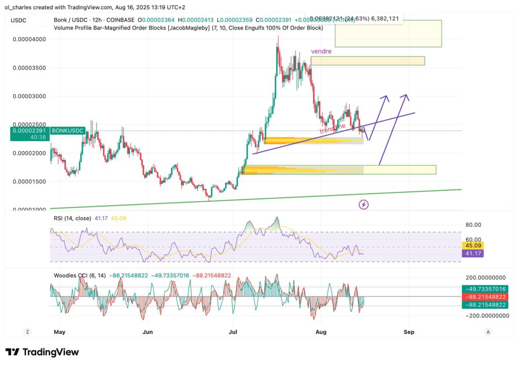 altcoins : Cours du BONK en 12H