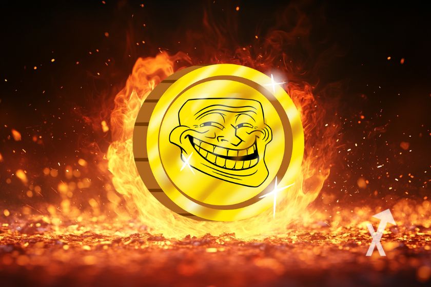 cover troll memecoins