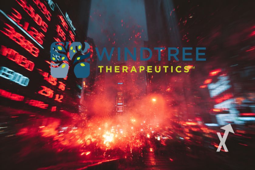 cover windtree BNB mycrostrategy