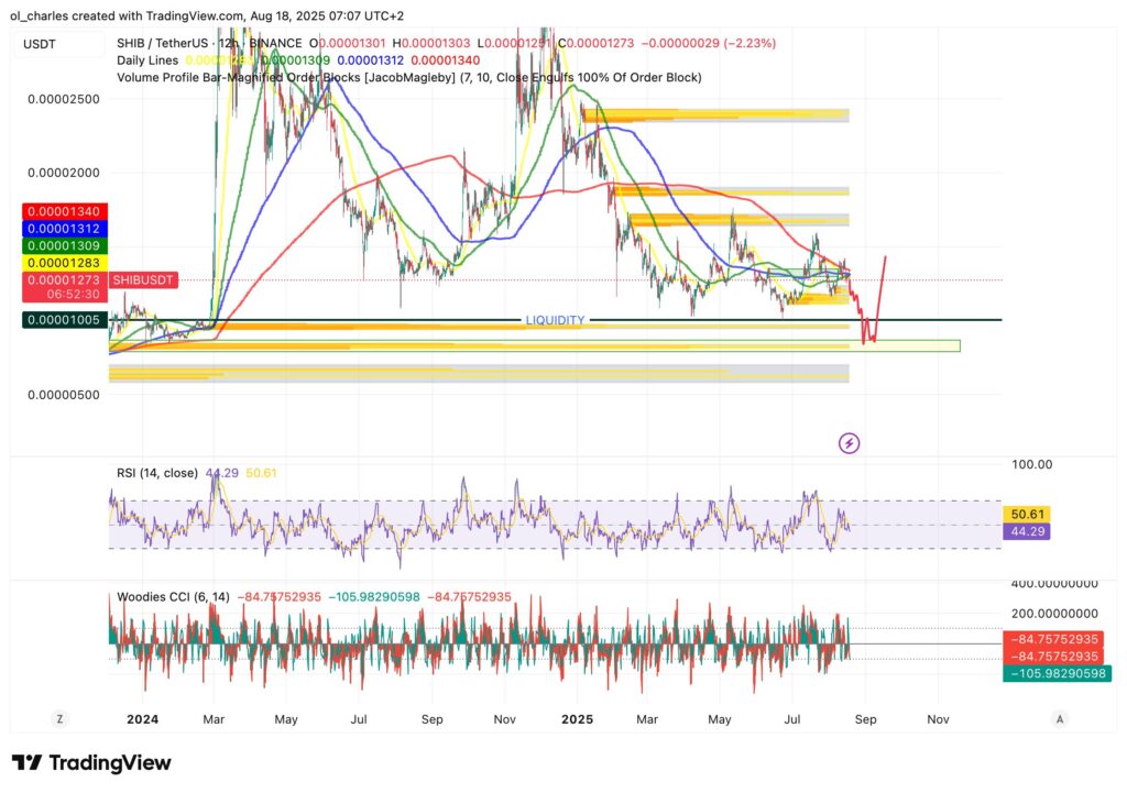 graphique du cours du SHIB en 12H